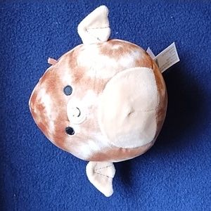 🦇 bat squishmallow 🦇